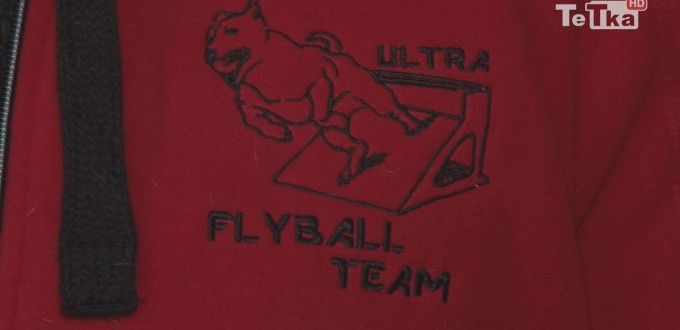 flyball