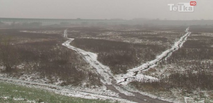 złodzieje