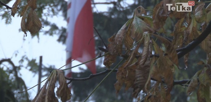 sonda o patriotyzmie