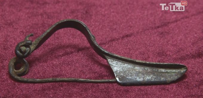 fibula