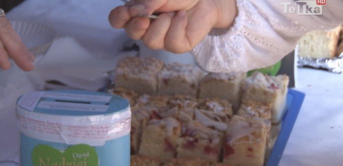 na terenie tczewskiego hospicjum przy ulicy Paderewskiego odbył się charytatywny festyn „Ogród nadziei”