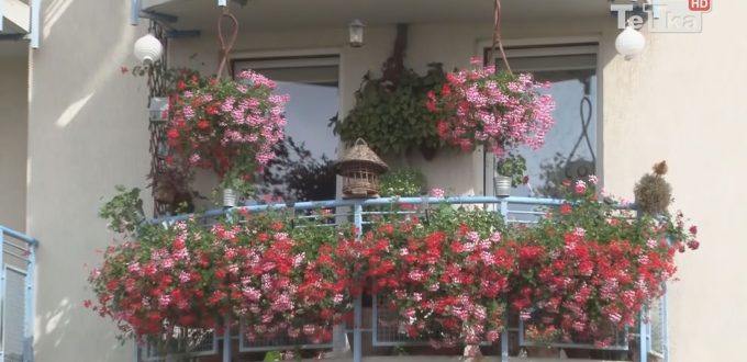 miasto przyjmuje zgłoszenia do konkursu na "Najładniej utrzymany dom, balkon, elewacje, otoczenie"