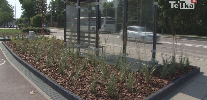 Zakład Wodociągów i Kanalizacji upiększa tczewskie przystanki
