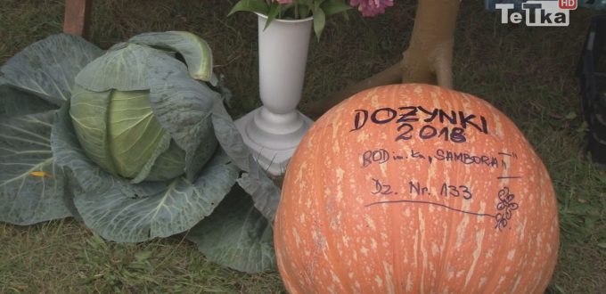 Dożynki działkowe pełne atrakcji