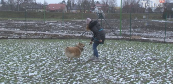 kilkadziesiąt projektów budżetu obywatelskiego wpłynęło do urzędu miasta