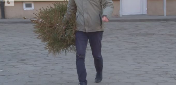 Choinki po świętach należy wyrzucić pod kojcem śmietnika.