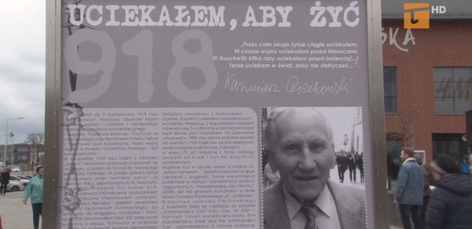 Piechowski wystawa