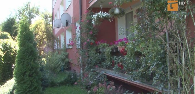 Rozpoczęła się kolejna edycja miejskiego konkursu związana z upiększaniem balkonów i otoczenia