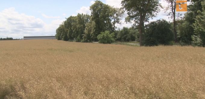 Prezydent Tczewa spotkał się z dyrektorem Krajowego Zasobu Nieruchomości w sprawie realizacji budownictwa w ramach programu „Mieszkanie Plus”