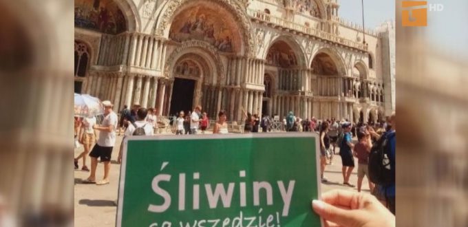 Śliwiny są wszędzie