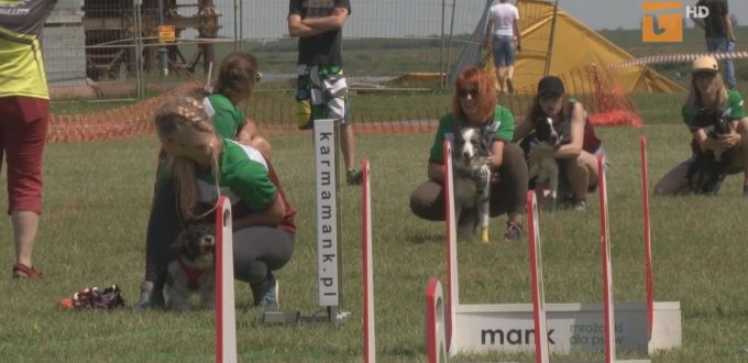 Mistrzostwa Polski Flyball