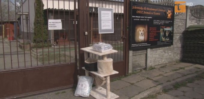 Zwierzęta podczas kwarantanny czekają na naszą pomoc