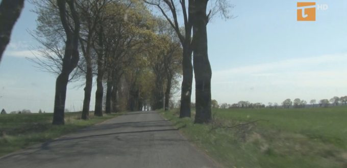 drogi powiatowe