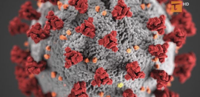 Na Pomorzu epidemia powoli wygasa