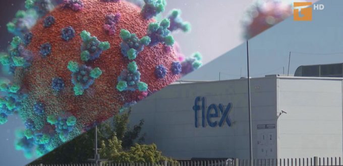 W firmie Flex wykryto koronawirusa