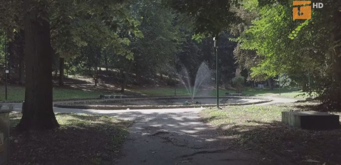 Zabierz głos w sprawie Parku Miejskiego