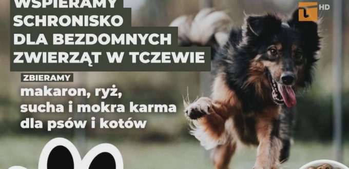 Rokitki apelują o pomoc dla schroniska