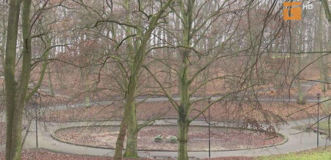 Park po konsultacjach społecznych