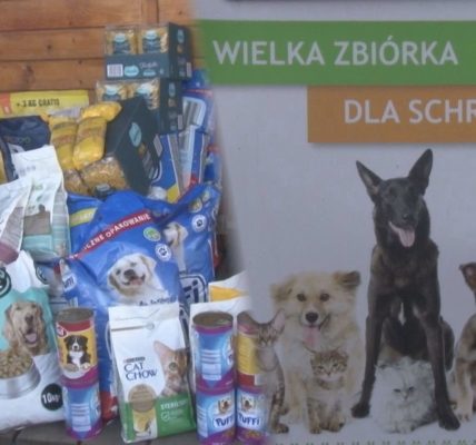 Mieszkańcy Rokitek zebrali karmę dla zwierząt