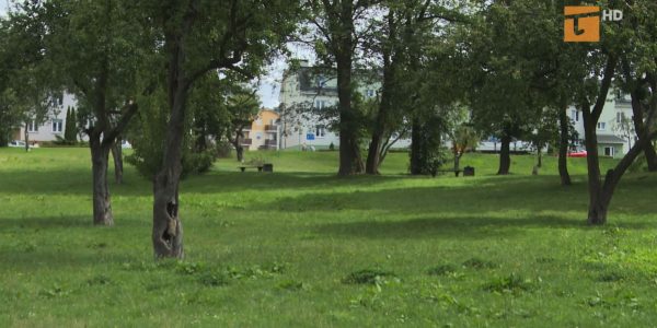 Park na Piotrowie będzie zrewitalizowany