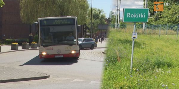Powstaną linie autobusowe do Rokitek i Lubiszewa?