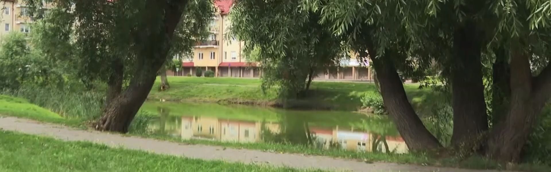 park Piotrowo