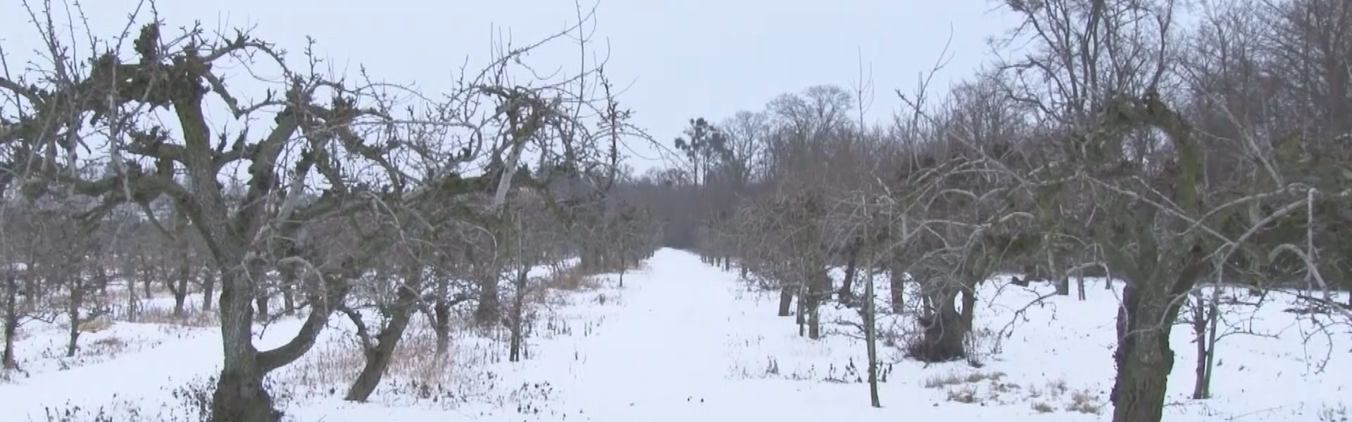 Ostatnie osiedle powstanie przy Bałdowie