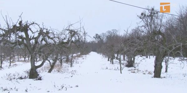 Ostatnie osiedle powstanie przy Bałdowie