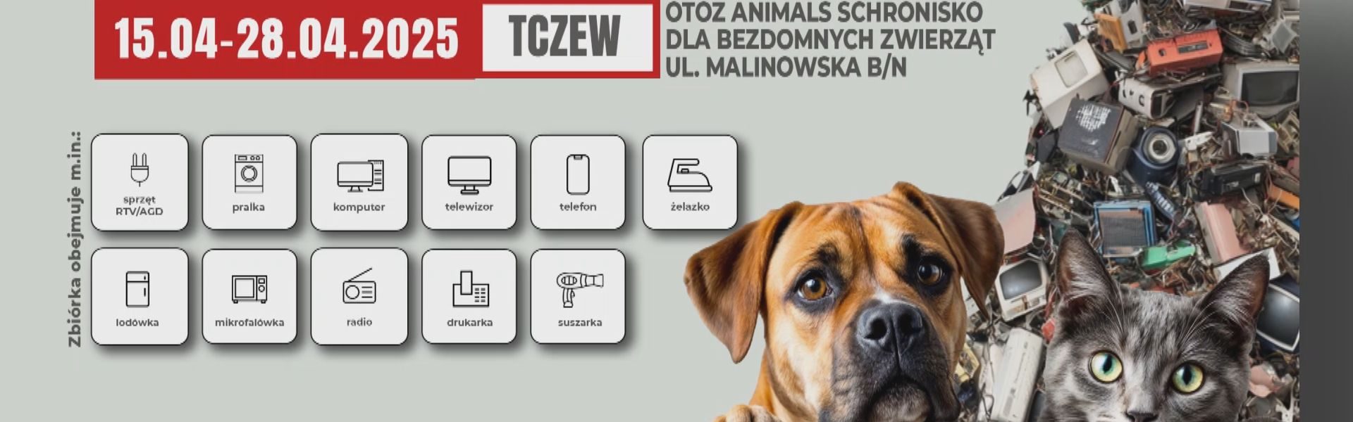 elektrośmieci schronisko