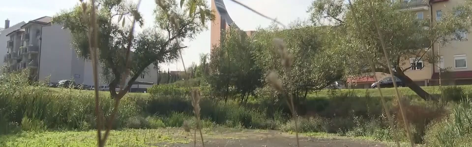 Chcą uratować staw na Piotrowie
