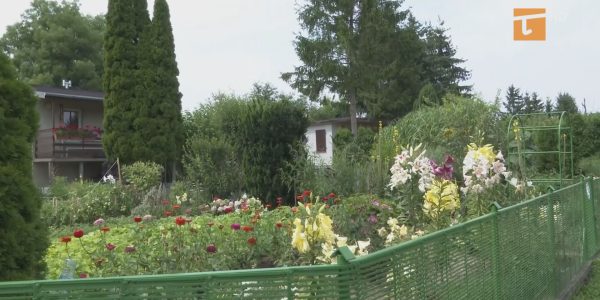 Dwa ogrody działkowe z dotacją prezydenta