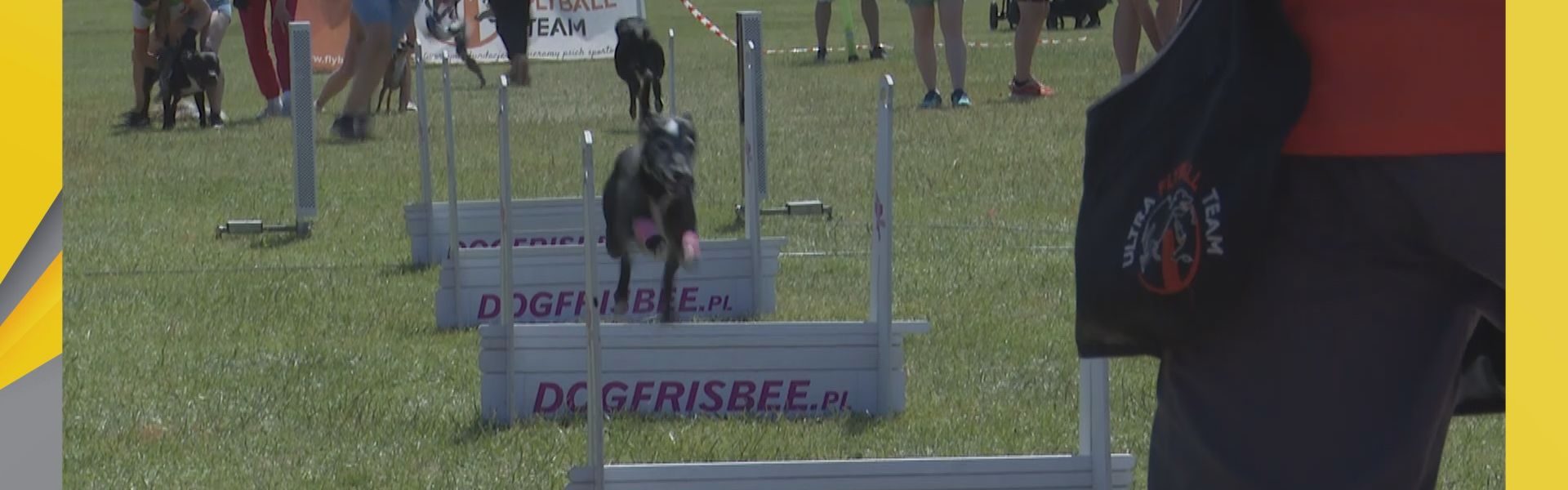 flyball ósmy