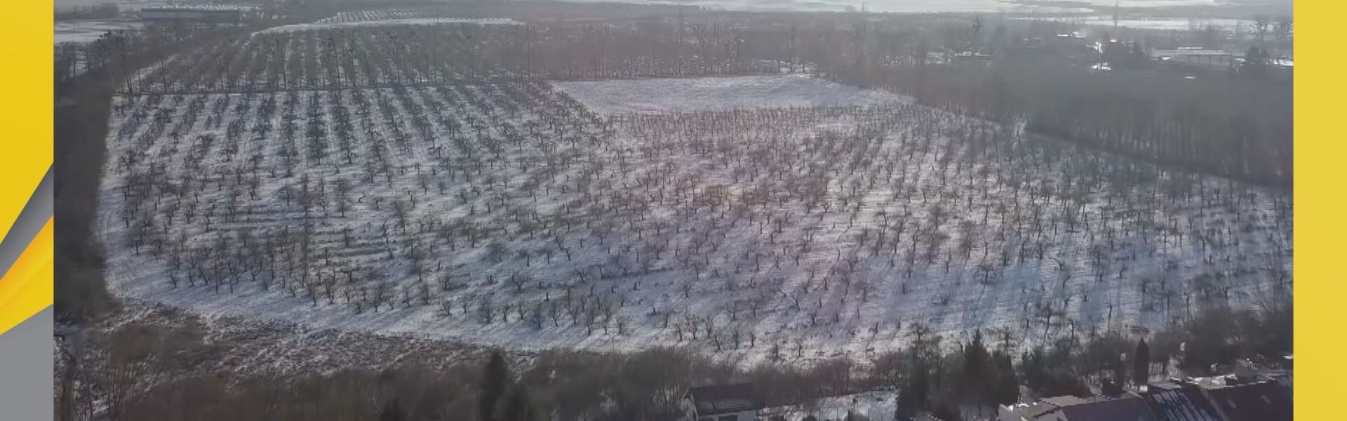 W miejscu sadów powstanie nowe osiedle