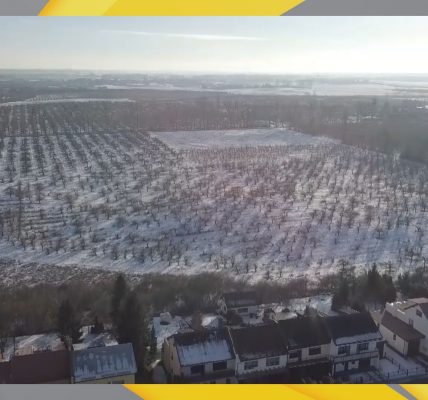 W miejscu sadów powstanie nowe osiedle