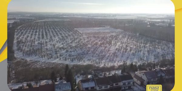W miejscu sadów powstanie nowe osiedle