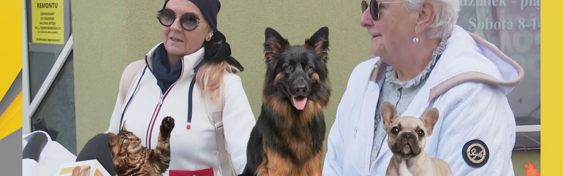 Tczewianie lubią zwierzęta
