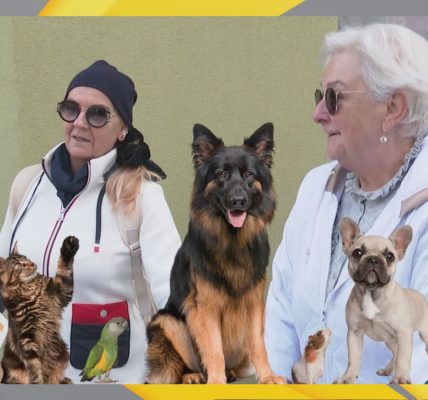 Tczewianie lubią zwierzęta