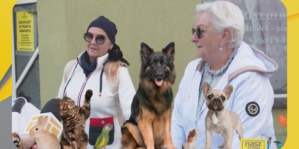 Tczewianie lubią zwierzęta