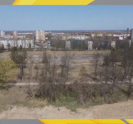 sprzedaż podsumowanie