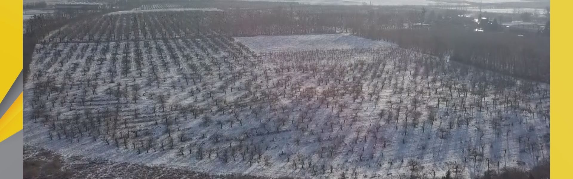 Ratusz znów pyta mieszkańców o przyszłość sadów