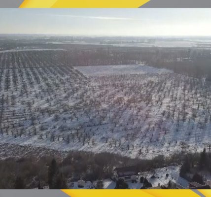 Ratusz znów pyta mieszkańców o przyszłość sadów