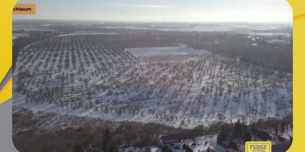 Ratusz znów pyta mieszkańców o przyszłość sadów