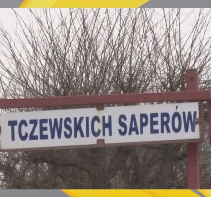 projekt saperów