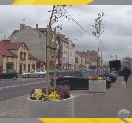 ZUK zajmie się zielenią przy drogach