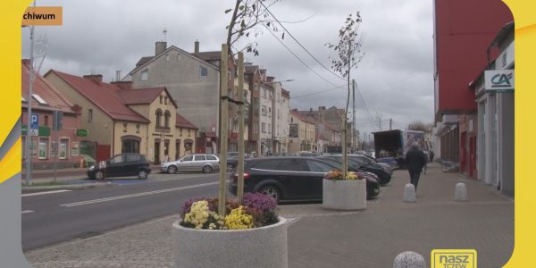 ZUK zajmie się zielenią przy drogach