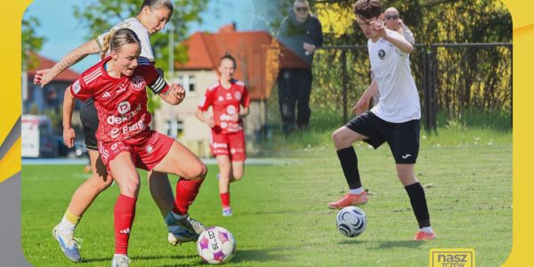 pogoń i Gryf