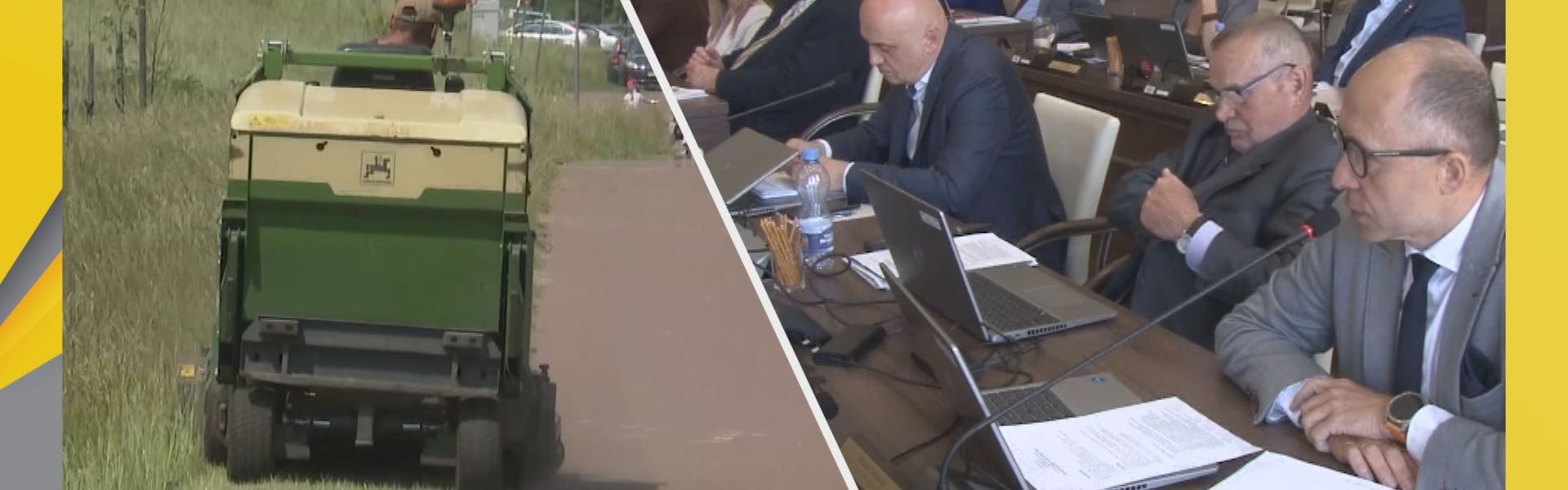 zieleń na sesji