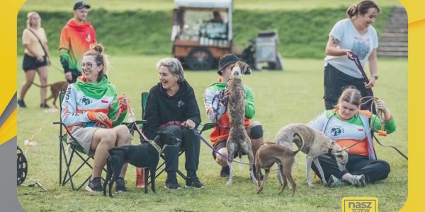 flyball tczew