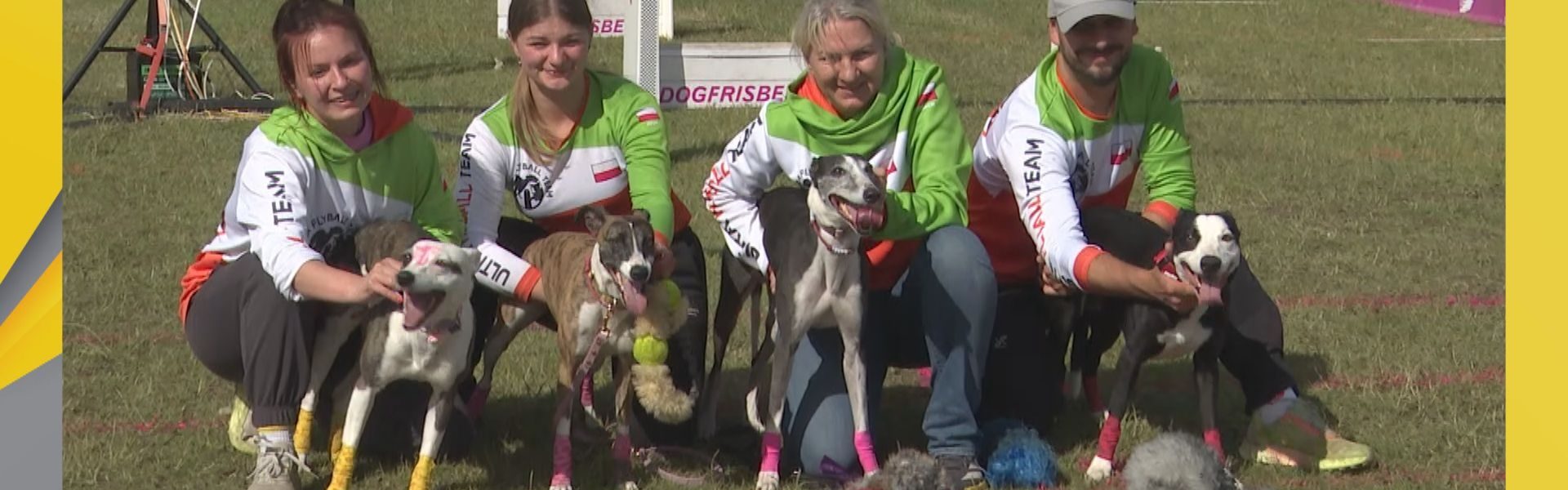 Flyball zwycięzca