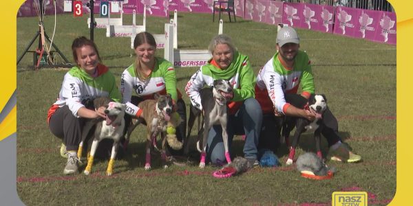 Flyball zwycięzca